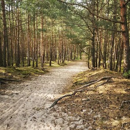 Sloneczna Wydma M&k Sobieszewo דירה *