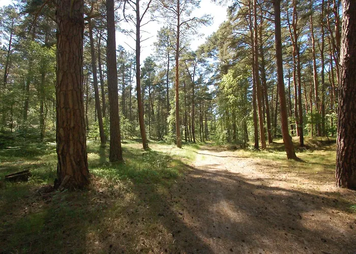 Sloneczna Wydma M&k Sobieszewo *