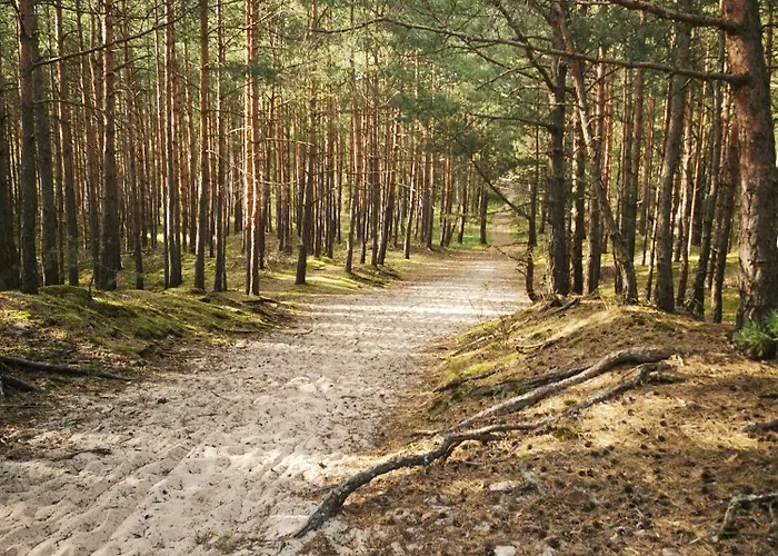 Sloneczna Wydma M&k Sobieszewo דירה *